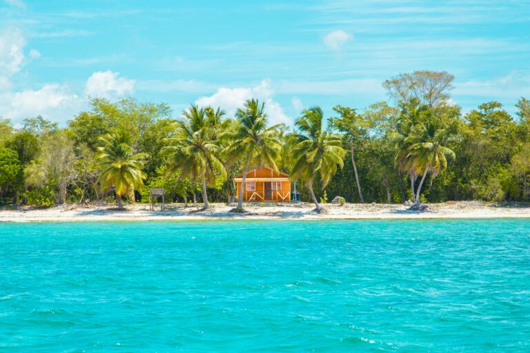 Dominican Republic: Photo of Wooden Cabin on Beach Near Coconut Trees